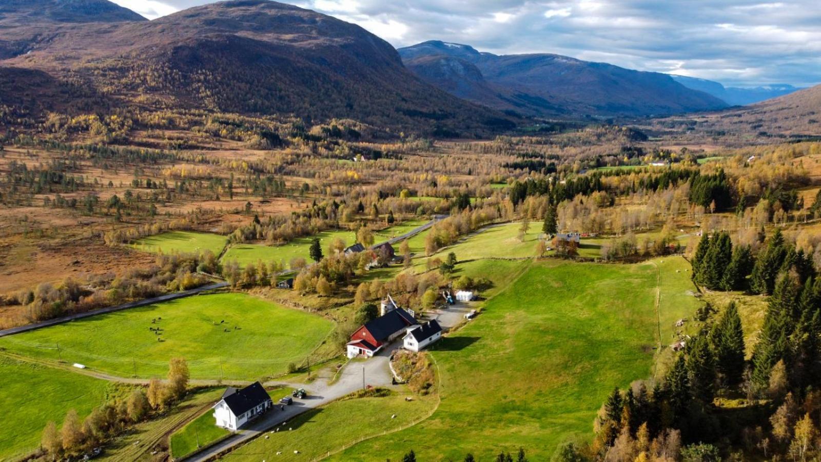 Holiday Home Among The Pearls Of Norway Stranda  Exterior photo